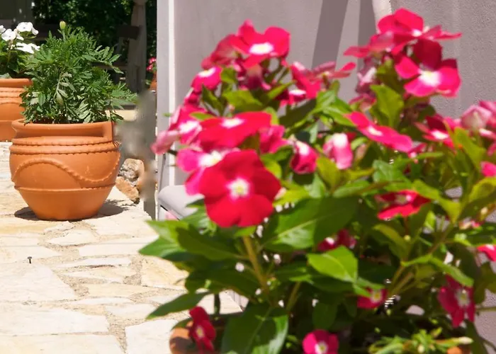 Apartamento Domenica Apts I Laganas