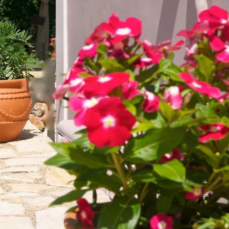 Lägenhet Domenica Apts I Laganas