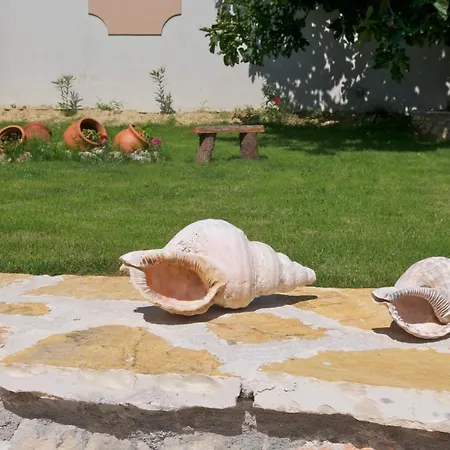 Lägenhet Domenica Apts I Laganas